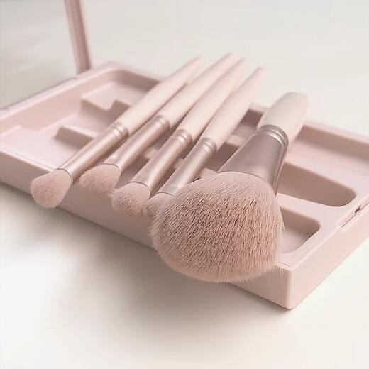 Meet the Beauty 5 Makeup Brush Set Travel Portable Eyeshadow Loose Powder Blush Brush Makeup Concealer Brush Beauty Tools with Mirror