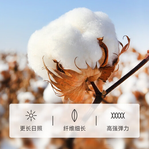 The most popular towel Xinjiang pure cotton 100% cotton 3A antibacterial, water-absorbent and not easy to shed hair, men and women household sealed face washcloth 3 green + 3 orange 6 pieces 90g [32*70cm gentle towel]