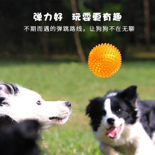 EETOYS medium thorn ball orange dog toy fun sounding teeth grinding and bite-resistant tooth cleaning ball to relieve boredom alone pet supplies