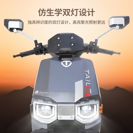 Tailing Electric Vehicle Cangqiong Motorcycle 72V22AH Graphene Super Long Range High Power Electric Motorcycle Transportation Battery Vehicle Hao Lime-72V22AH Graphene-Smart APP