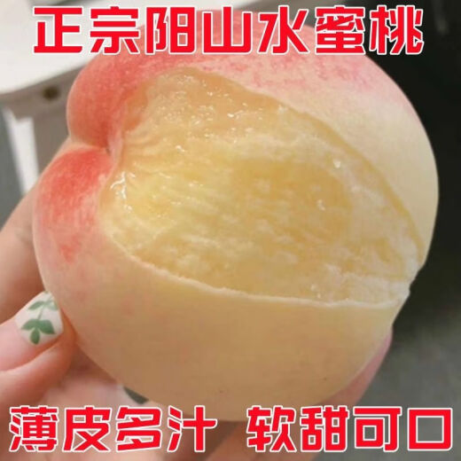 Junhao NUEVA VARIEDAD DEL PEQUETO INGRETADO PIENTURAS DE MONTRA TARDETAS MATRADAS MATRADAS TARDE CON RESISTENCIA RESISTENCIA RESISTANTE RED HEACH RETLINGS de durazno dando frutos en el norte y sur ese año [recomendado 679 plántulas] Dos en 4 años de Invierno Peach No. 3 Sweet Peach King