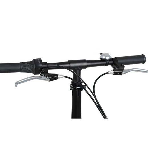 大行（DAHON）折叠自行车20英寸铝合金轻便6速通勤单车冠特 KBA061黑色