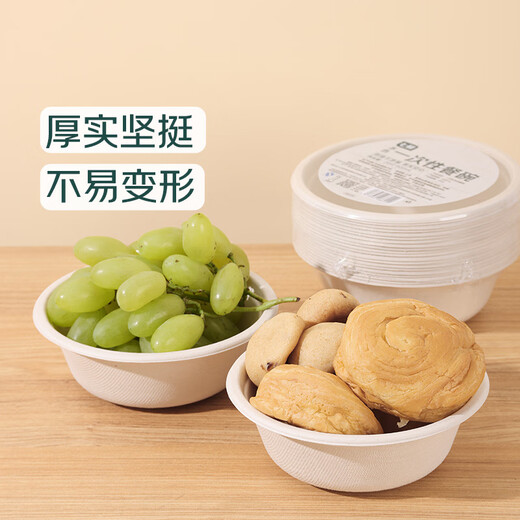 Disposable dinner bowls 500ml 20 pieces