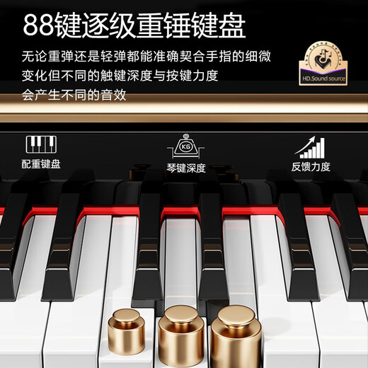 Ryefield (Ryefield) Electric Piano 88 Key Heavy Hammer Profesional de clasificación Piano Principios Inicio Digital Electrónico Piano Grado de rendimiento de adultos RY688 Bottom Bottom - Walnut Brown