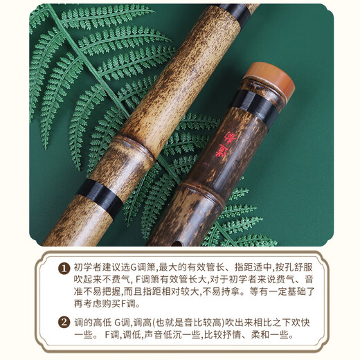 
Daoyun Zizhu Xiao Didong Xiao Xiao Eight Hole F tune Beginner's professional ancient style Zizhu Short Xiao Fei Xiao Flute Musical Instruments