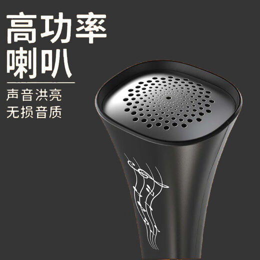 Le nouveau tube de musique électrique de Bainuo est livré avec un haut-parleur Bluetooth sans apprendre la partition musicale et peut chanter facilement [Tube de musique électrique]
