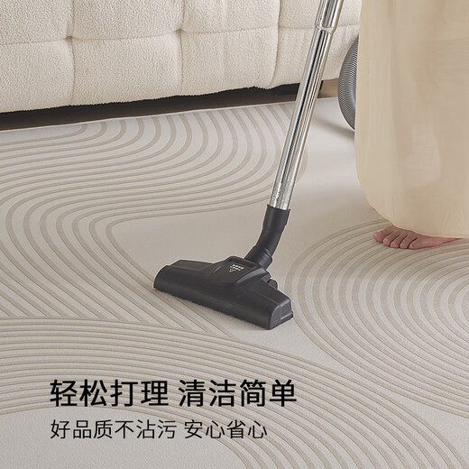 布迪思地毯卧室大面积满铺家用客厅毯沙发茶几轻奢防滑毯简约可定制地毯 现代6210【加厚圈绒】 240*400CM【属于定制不退换】