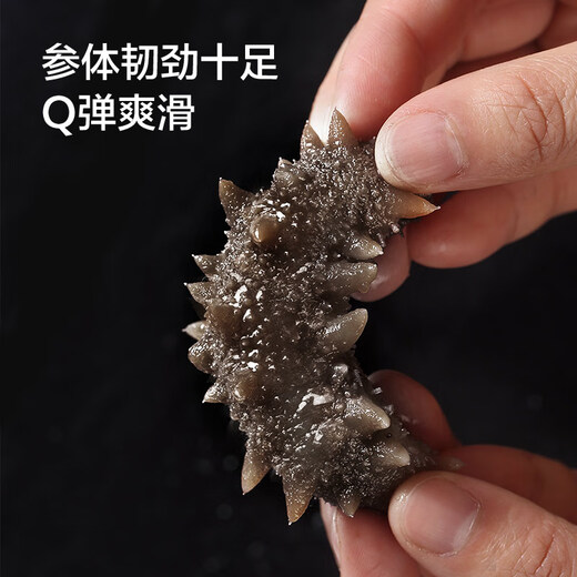 Made in Tokyo, Dalian frozen ready-to-eat sea cucumber 1000g 20-30 pieces, solid content greater than 70%, Liao sea cucumber gift box