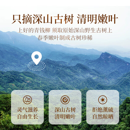 贡苑青钱柳250g 中药材原料张家界叶金钱柳青前柳 可配玉米须桑叶