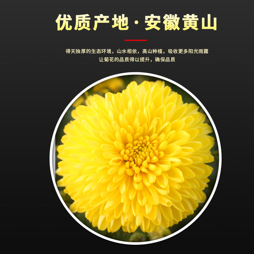 Mingyuan Huizhou Emperor chrysanthemum [buy 2 pieces = 3 cans in total about 500 flowers] Wuyuan Emperor chrysanthemum tea tribute chrysanthemum with wolfberry herbal tea [Newly picked golden hydrangea] [buy 2 get 1 can in total 500 flowers]