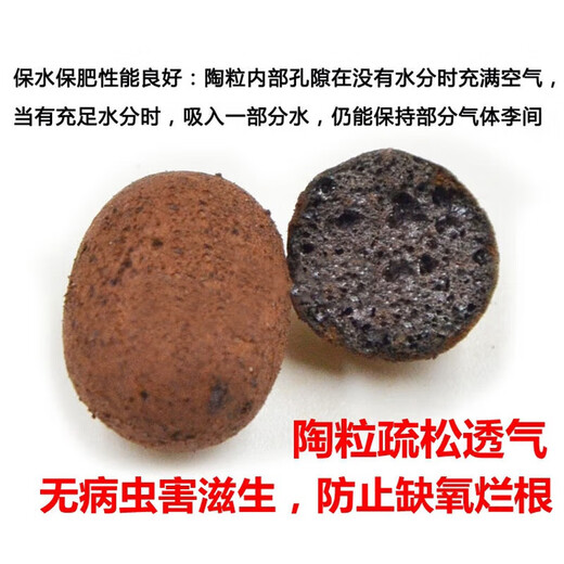 A must-have for potted plants. Ceramic bottom hydroponic flower pots for growing flowers. Increase ventilation and water permeability. Adjust temperature. Large size 10L 1 bag.