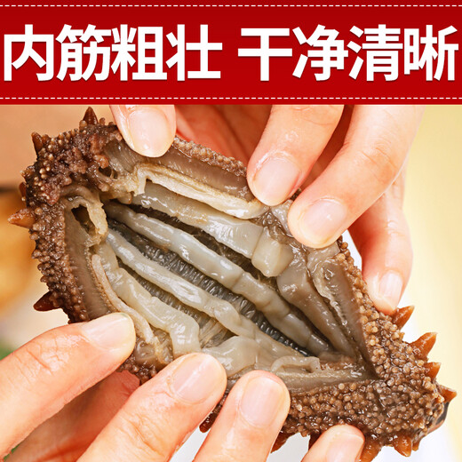 皇家麒麟 即食海参 即食大连刺参单个装辽刺参海参干货水产礼盒净含量500g 7A鲜食海参 6-8只/斤 三斤装【家庭装】