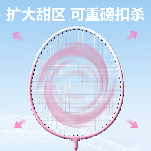 Deli youth badminton racket wear-resistant, lightweight and quality basic training badminton racket pairing