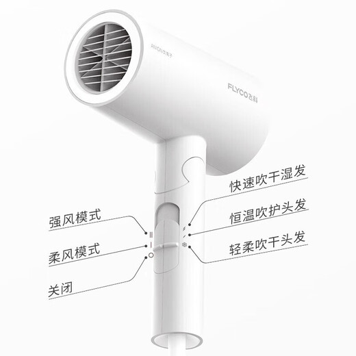 FLYCO Portable Hair Dryer Negative Ion Household High Power Deep Hair Hair Dryer Quick Drying Foldable Birthday Gift for Girlfriend FH6276 Milky White + Storage Bag