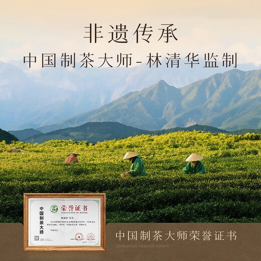 漳平水仙茶乌龙茶无上妙品兰花香漳平水仙清香型口粮茶饼特级500g送礼自己喝