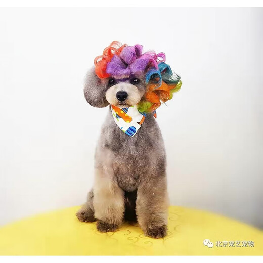 Toby pet dye dog hair dye cream 160g pure color non-fading type No. 1 green