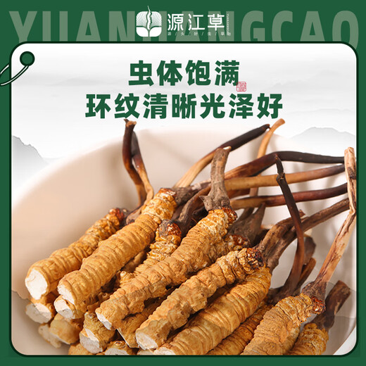源江草冬虫夏草断草10克大号断虫草约35~40根滋补品送长辈老人礼物