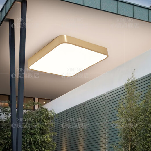 Heart mirror full copper outdoor ceiling light villa ultra-thin entrance door light corridor aisle balcony lamp terrace mosquito-proof courtyard X3893-600*800/rectangular