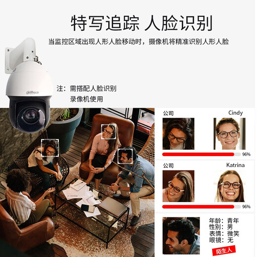 dahua大华摄像头 400万球机监控摄像头 23倍变焦  人脸检测 自动巡航 室外监控器360度无死角带夜视 DH-SD4423-DP-i（POE网线供电）