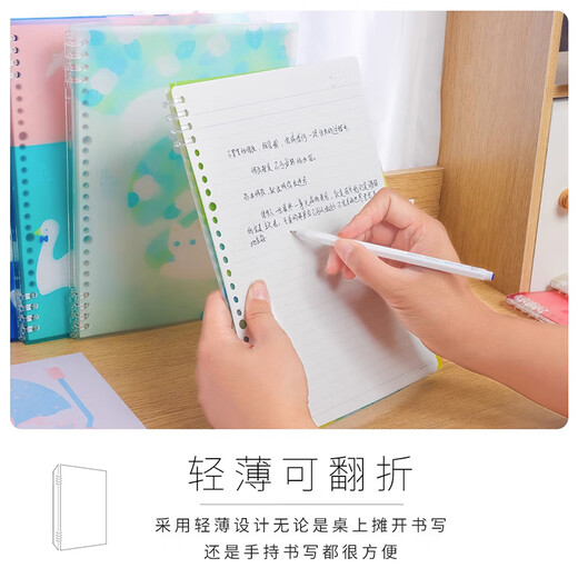 King Jim's Hades and Limited B5 Loose-Page Book Life Page Notebook Coil Book Asuka 9855TES-GSMN02