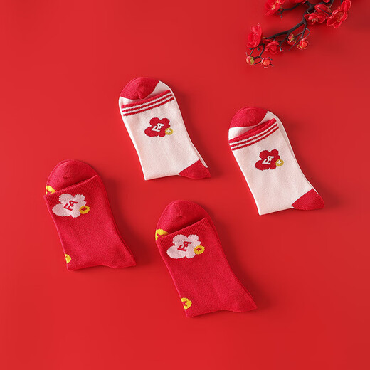 红豆儿童袜子男女童本命年红色新年四季棉袜中筒袜2双装W5010 24-26cm