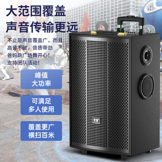 Sony Ericsson (soaiy) 12-inch square dance audio wooden high-power portable outdoor heavy bass Bluetooth karaoke special high-volume mobile trolley speaker outdoor performance dual microphone SA-X73