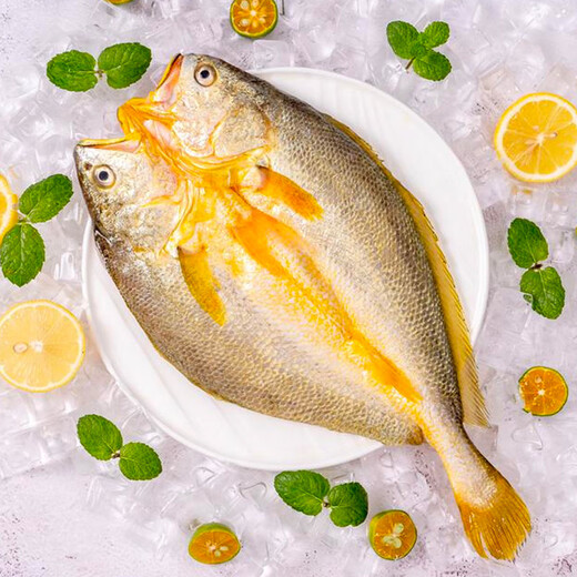 Sandu Port Frozen Yellow Croaker 1Jin Jin is equal to 0.5kg 1 Sandu Yellow Croaker Large Yellow Croaker Fresh Fish Seafood New Year's Goods