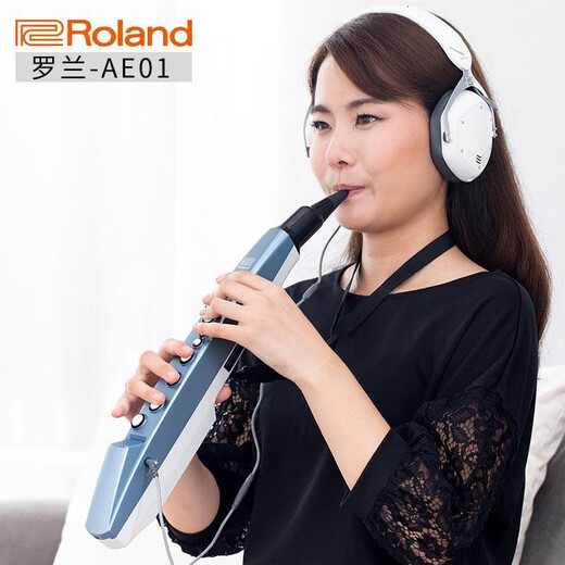 贤怀达正品日本品牌Roland罗兰AE-01电吹管老人电萨克斯电子乐器二胡AE0 罗兰AE-01C民族版(套餐五)
