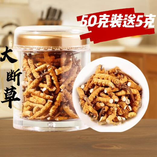Cordyceps Sinensis Snow Mountain в тибетской области Cordyceps Sinensis крупные сломанные cordyceps sinensis едят большую сломанную траву и доступный суп и жеватель