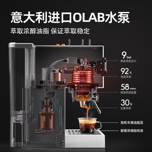 Baicui Coffee Machine Italien Concentré double chaudière Latte Home Office complet Semi-auto petit Moule de lait commercial intégré American PE3888 Gift de vacances White (enquête avant de passer une commande pour obtenir des cadeaux surprise)