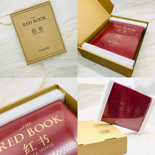 红书 心理学大师 荣格 之作 精装 京东自营 周党伟译 机械工业出版社 