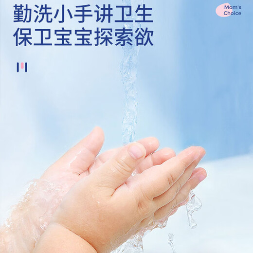Wei Mengjie Hand Sanitizer Antibacterial, Mild, Moisturizing, Clean, Decontamination, Easy to Rinse, Baby, Children, Adults, Home Portable, Non-Medical 500ml 1 Bottle - Antibacterial Hand Sanitizer x1 Bottle