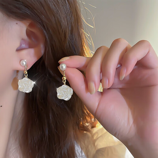 Dirholl brand earrings women's one-week earring set, elegant and high-end earrings, Valentine's Day birthday gift for girlfriend and wife, seven pairs of one-week earring set, exquisite gift box