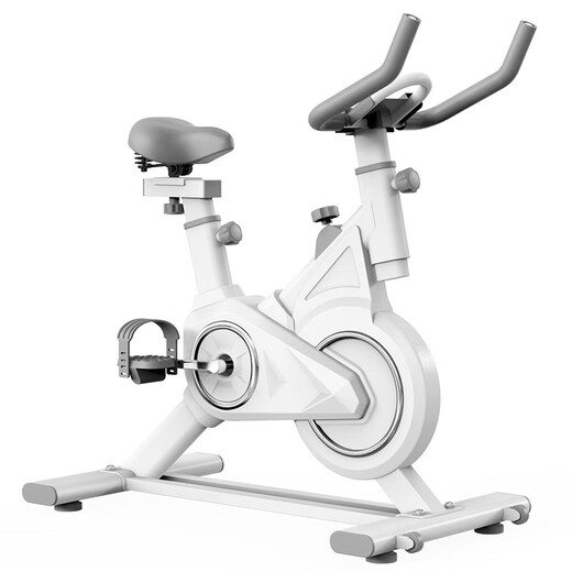 Xiaomi Shi Spinning Bike Indoor Ultra-Quiet Gym Bike Exercise Bike Home Fitness Equipment All-Inclusive Safety Flywheel (Flagship APP Model)