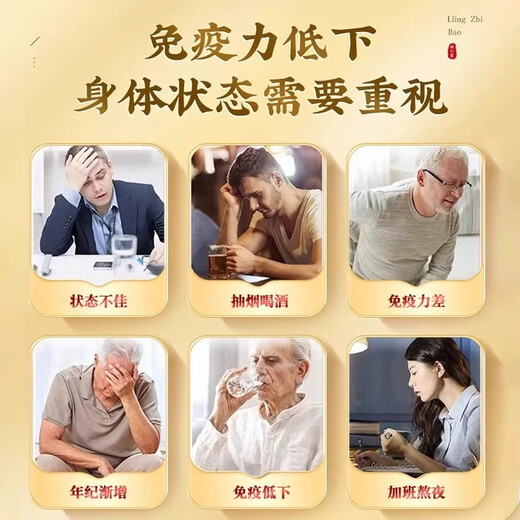北京同仁堂破壁灵芝孢子粉长白山中老年提高免疫力术后滋补品送长辈礼盒送礼 5盒装【年货礼盒+礼袋】