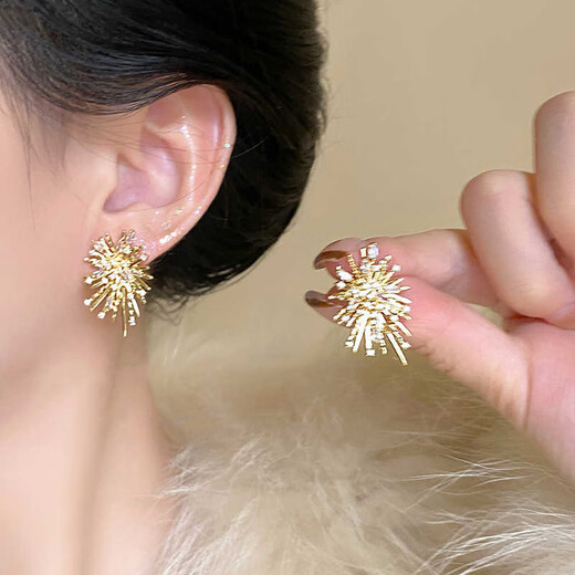 Tapaying Fashionable Zircon Fireworks Earrings Light Luxury High-end Autumn and Winter Earrings Korean Style Earrings Fashion Earrings New Style Fireworks Earrings Pair