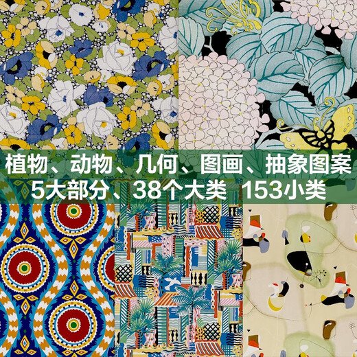 Self-operated World Pattern and Pattern Dictionary 1523 Classic Patterns Written by Elizabeth Willhead Decorative Art Illustrated CITIC Publishing House