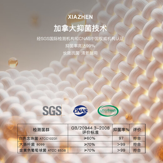 XIAZHEN down quilt 95% white goose quilt core 100 cotton antibacterial anti-velvet warm goose quilt Spring and autumn quilt - recommended room temperature 15-20 200*230CM