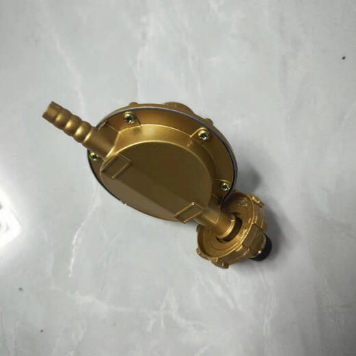 WS customized national standard 1.2 high-power household liquefied gas low-pressure valve gas tank pressure reducing valve water heater switch 0.6-1.2 adjustable fire luxury 10-speed watch