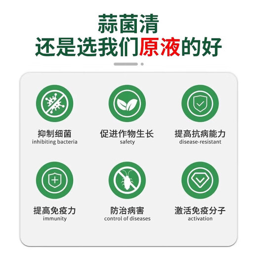 Garlic bacteria clear original solution garlic special medicine dry tip yellow leaf root rot leaf blight leaf blight rust purple spot biofertilizer agent one bottle of garlic bacteria clear