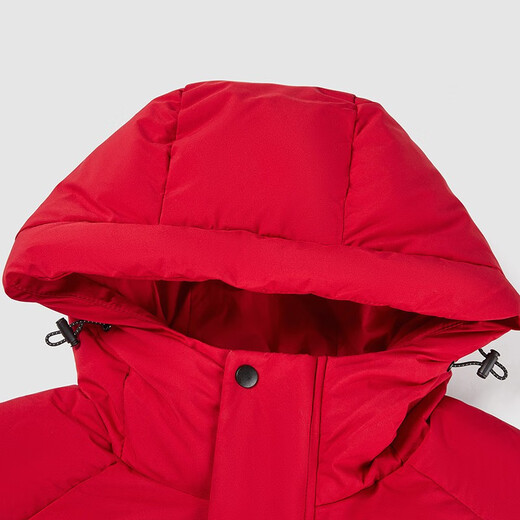 HLA Hailan Home Down Jacket Men's Casual Hooded Clever and Stylish Atmospheric Jacket