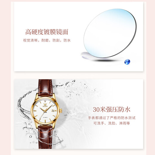 欧利时（OLEVS）瑞士认证品牌手表女士机械表全自动简约气质女表高档潮流时尚腕表 升级版【机械】白面-6629