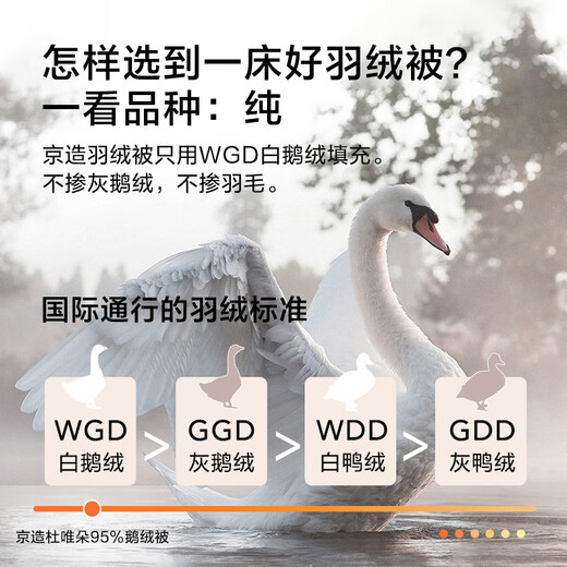 Duvet Doie Duvet Duvet Duvet Made in Tokyo 95% Domestic Goose Down Quilt Winter 1000g 2*2.3 meters