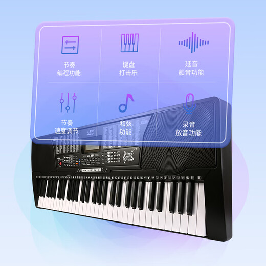 MEIRKERGR MK-821 piano key multi-function intelligent 61 key electronic piano children's beginner musical instrument connection USB disk + stand gift bag