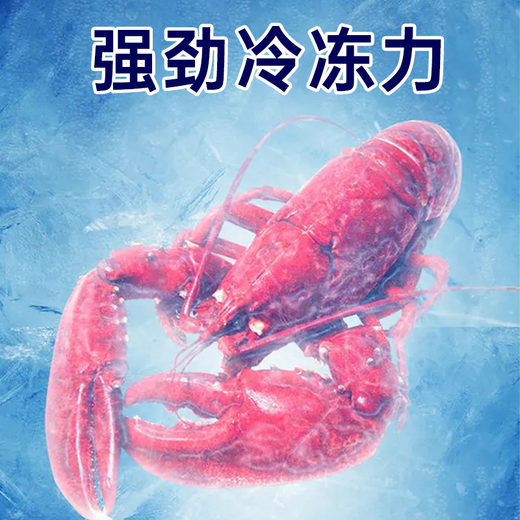北极川钛灰商用大容量卧式冰柜低温冷冻柜超市食品冷藏柜节能电子温控商用冷柜雪糕冰箱展示柜 智能单温BJC-698钛灰-长1.45米约400L