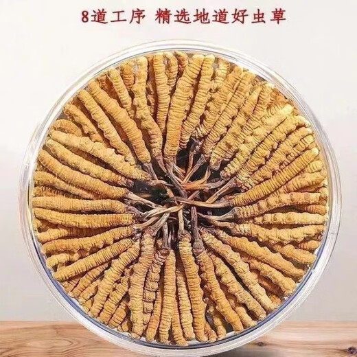 Verwendet im inneren Hof [Black Friday] Cordyceps Sinensis hohe Höhe Cordyceps Frontalqualität Heu beschränkt auf den Kauf-begrenzt auf 19 Einkäufe pro Tag, langsame Auswahl an Cordyceps (50 Stück) erhalten 5 Teile