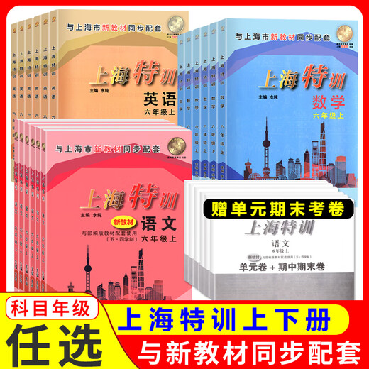 2024新教材版 上海特训语文数学英语物理 六七八年级上册下册678年级初一初二三上海沪教版 与上海初中新教材同步配套教辅课后练习 八年级下 语数英物 初中通用