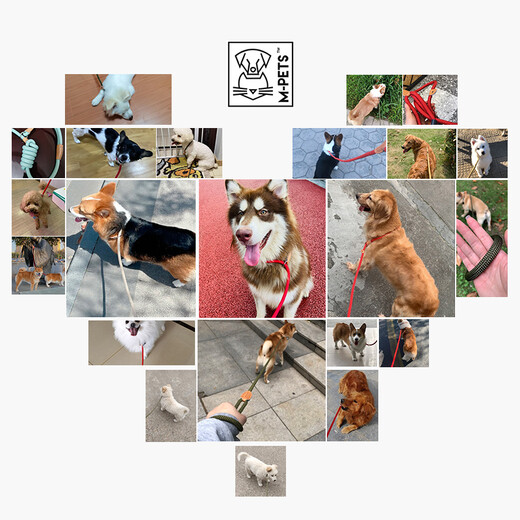M-PETS dog traction rope traction dog rope p rope large dog golden retriever p chain dog rope small and medium-sized dog corgi explosion-proof punch blue green 1.7m 100Jin Jin equals 0.5kg applicable within