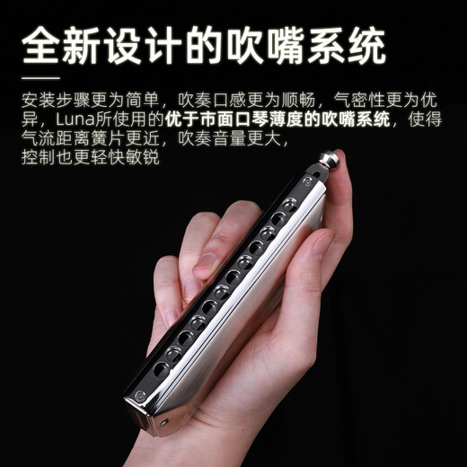 Gardry (JDR) Mondlicht Design Japaner importierter Ring Luna Luna Advanced Professional Performance 12-Loch-Chronik Harmonische 12-Loch-Grau-Bürstbedeckung