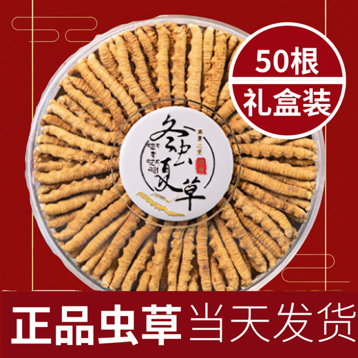 【假一赔十】雪山冬虫夏草正宗藏区虫草正品冬虫草礼盒装虫草干货 西藏那曲虫草3条一克合计10条